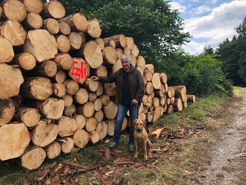 Andreas Egli, producteur de cercueils, avec sa chienne Khaya dans la forêt de Schilt près d'Ebikon LU